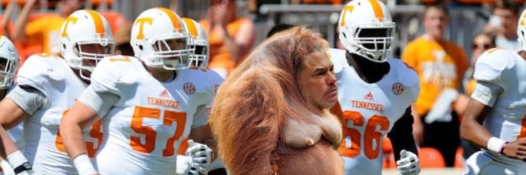 dipshitVOLS's profile banner image