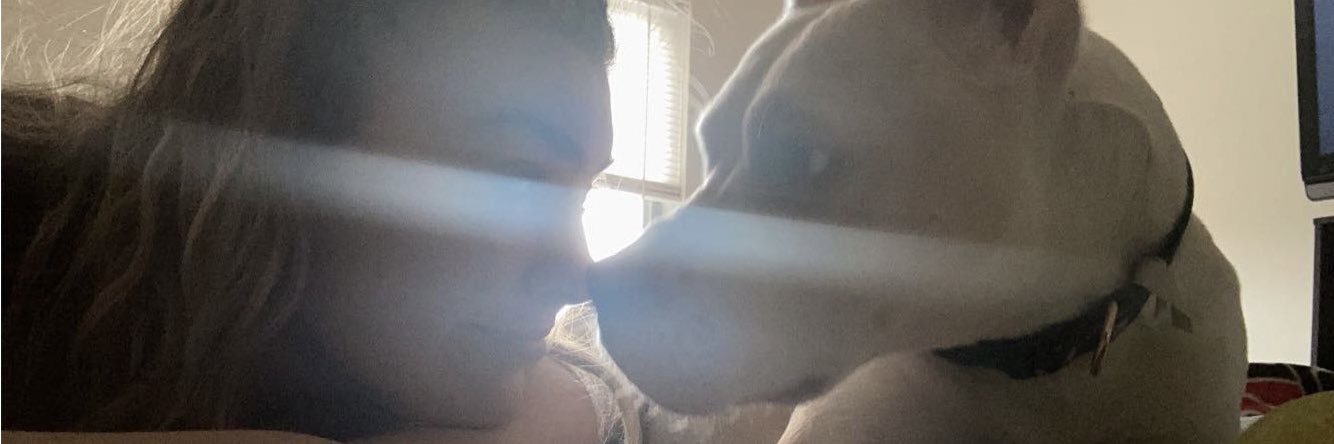 LizardxQueen__'s profile banner image