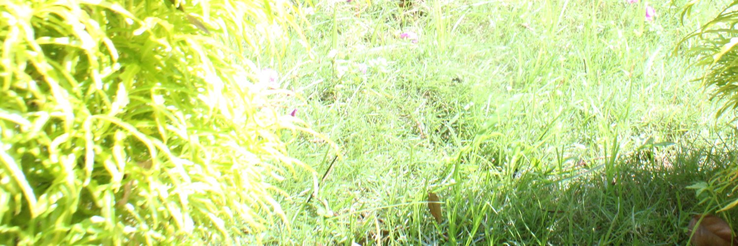 Natan_tian banner