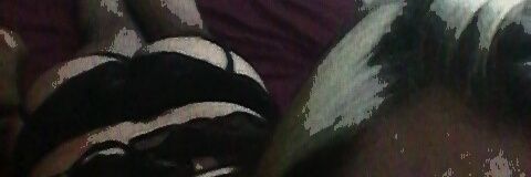 TSCriztaL's profile banner image