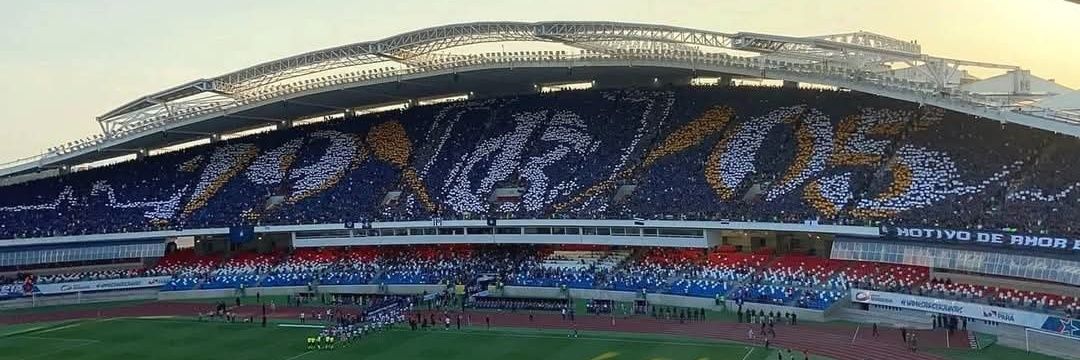 remo suprem🅰️cy 🦁 banner