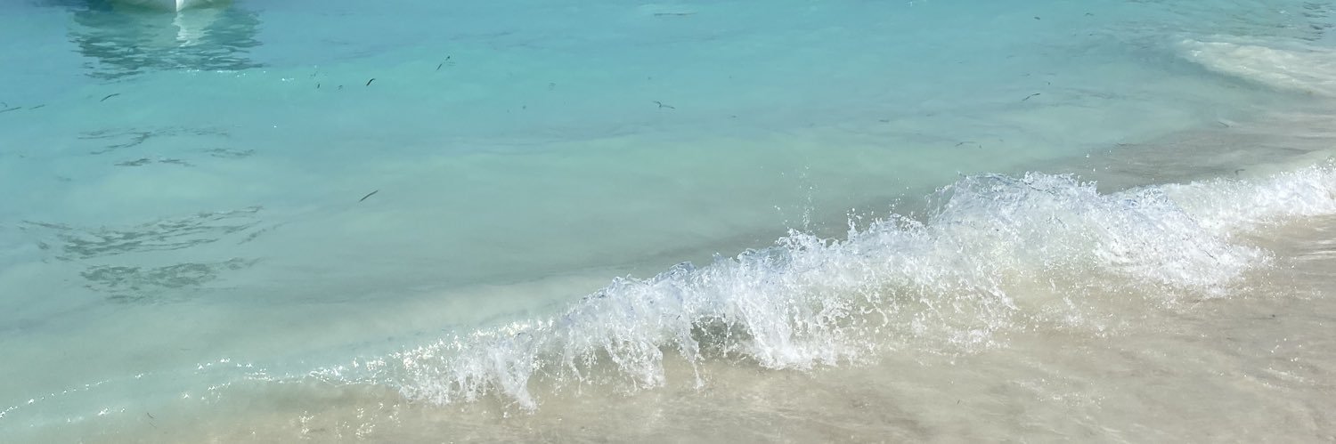 florbroldan's profile banner image