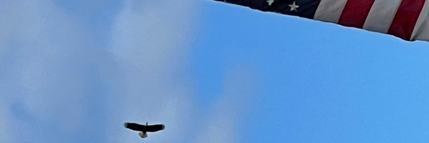 keezmos's profile banner image