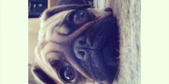 Rafa_Peronio's profile banner image