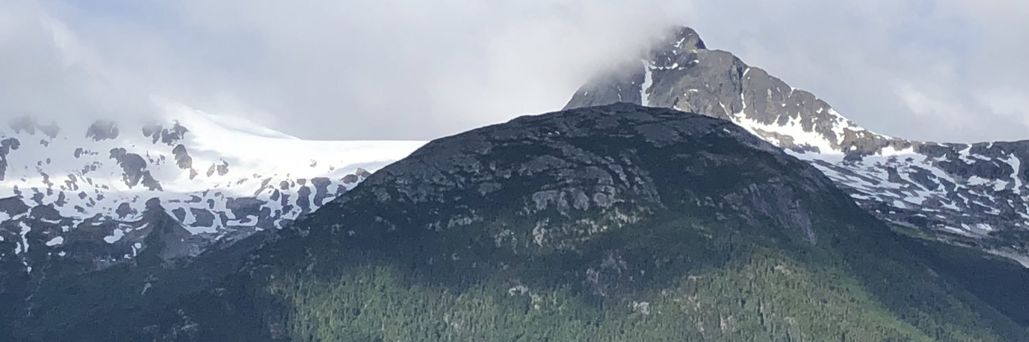 LeeRick01's profile banner image