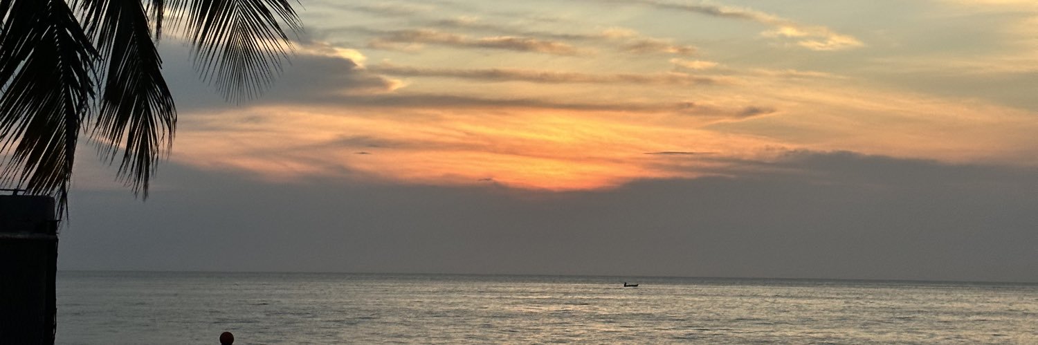 isapalo39's profile banner image