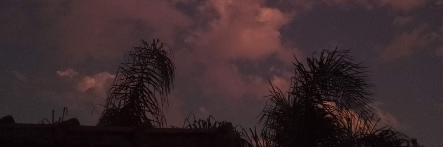 sofis_tt's profile banner image