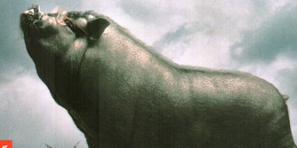 gavilan59's profile banner image