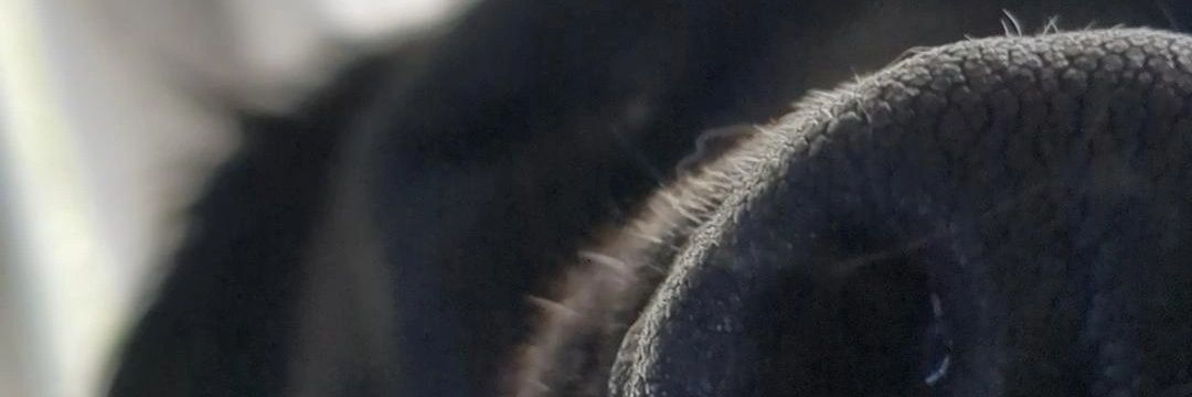 tylerprescottt's profile banner image
