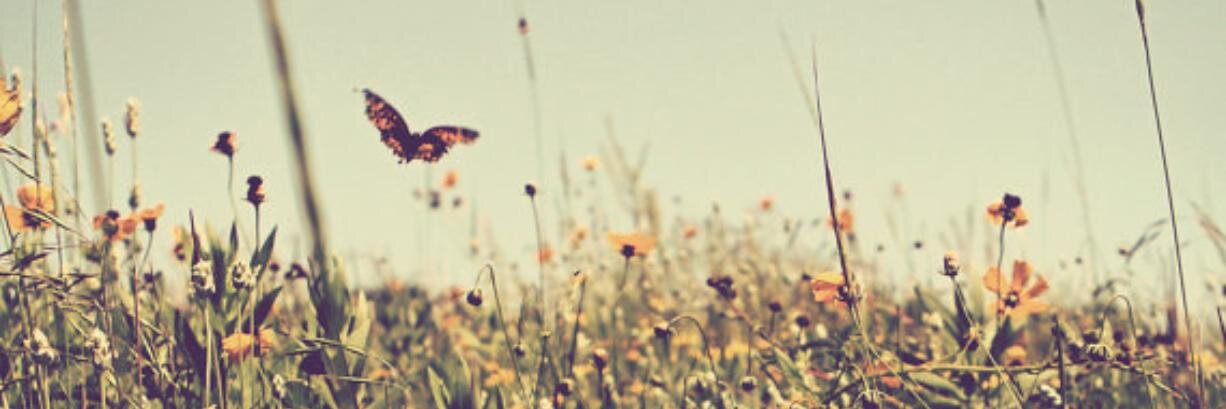 halEkay's profile banner image