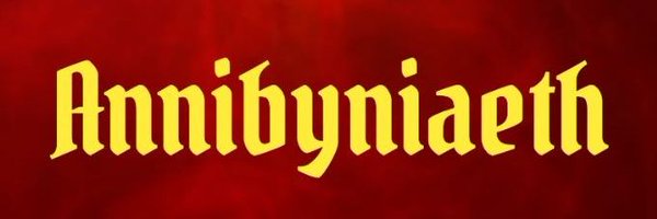 FadogPowys Profile Banner