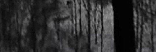 d_koleb7's profile banner image