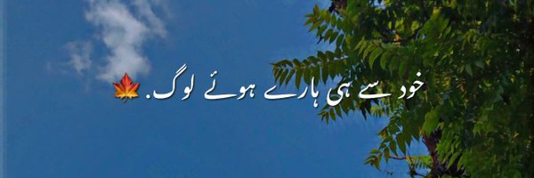 hassan_whyy Profile Banner