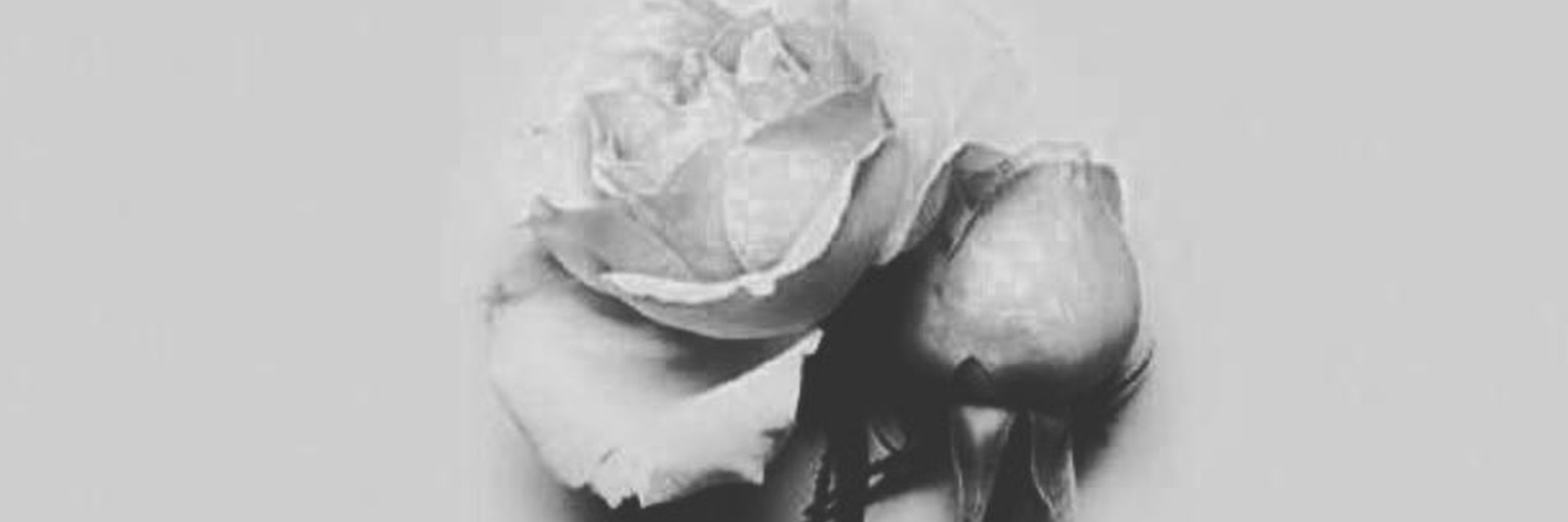 myrnwr3's profile banner image