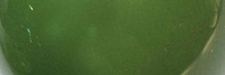 이그린 banner