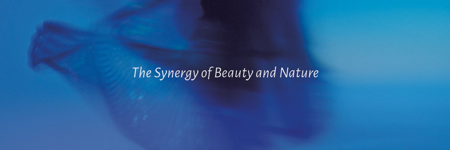Etíde Botanicals banner