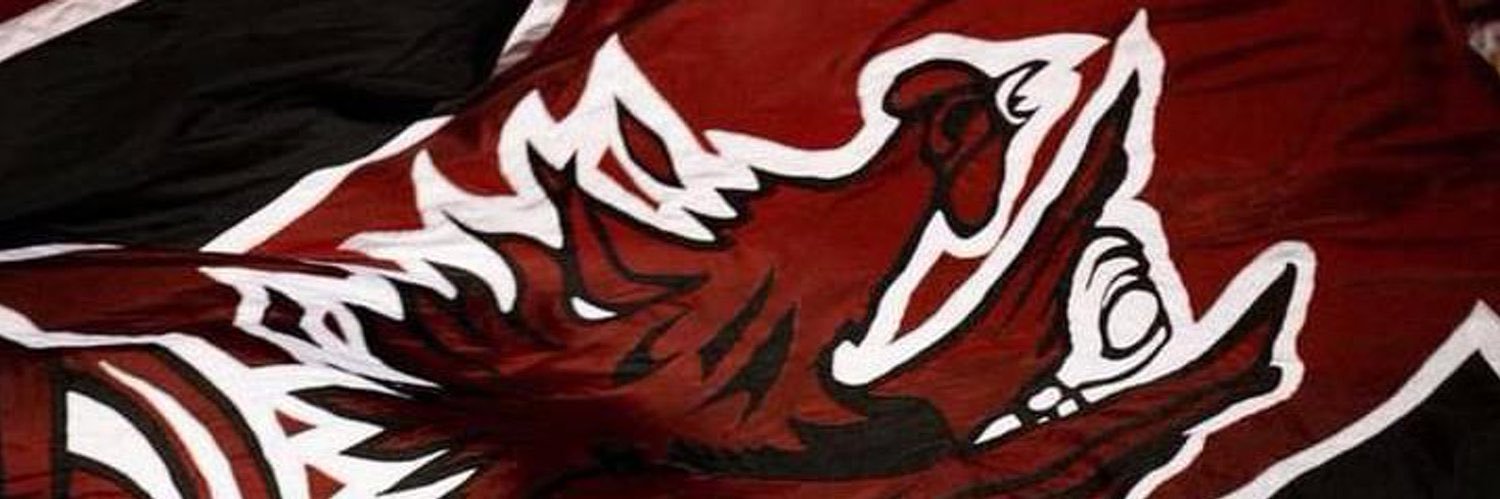 Gamecocks1801's profile banner image