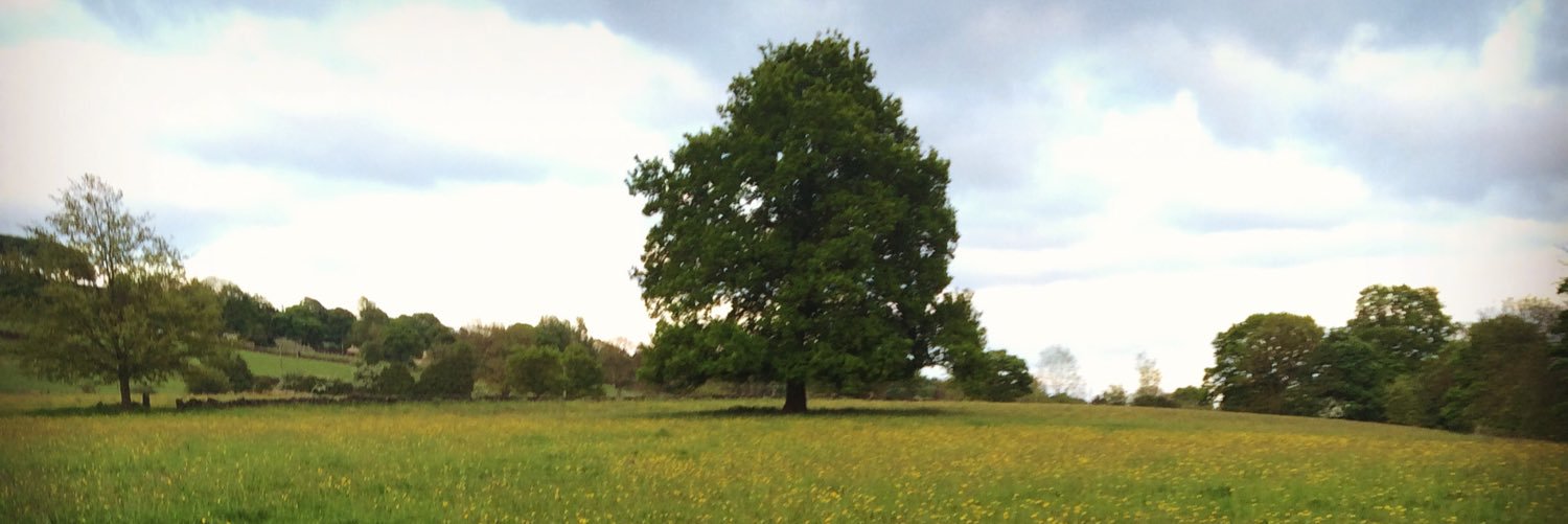 becsgardner's profile banner image