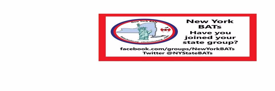 NYStateBATs banner