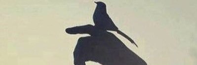optimize560's profile banner image