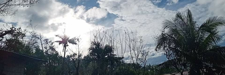 anthony_cinco5's profile banner image