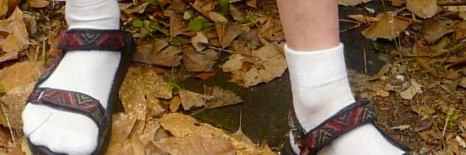 Drlongsock banner