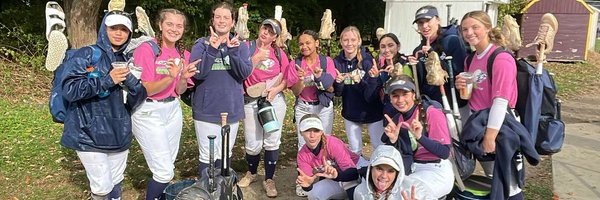 TroySoftball16 Profile Banner