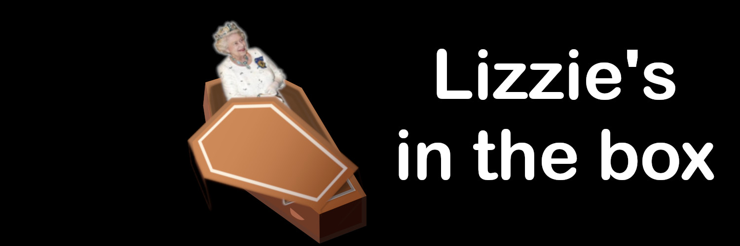 lizziesinthebox's profile banner image