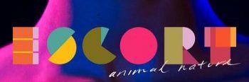 Layla banner
