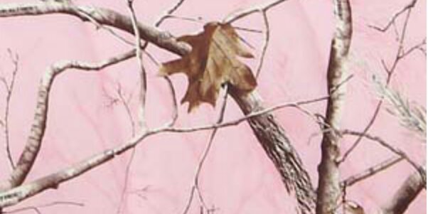 MCheyenna's profile banner image