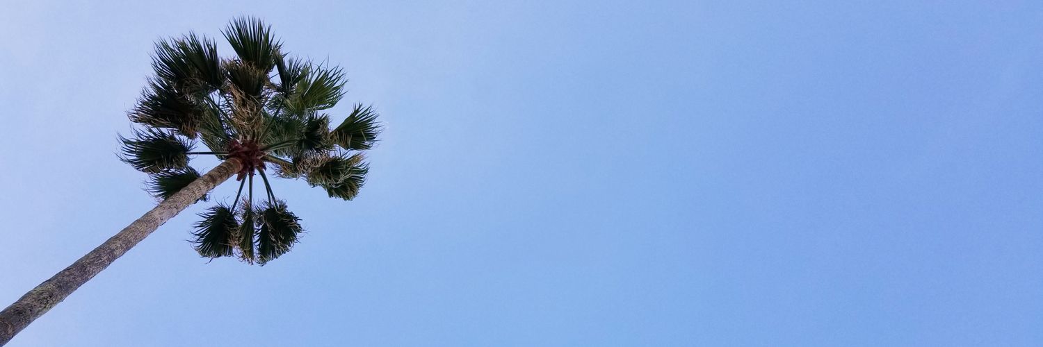Taisa_Goras's profile banner image