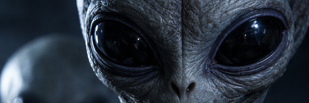 ALTO A LA CORRUPCIÓN banner