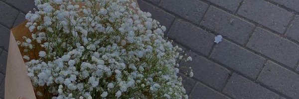 som_13n Profile Banner