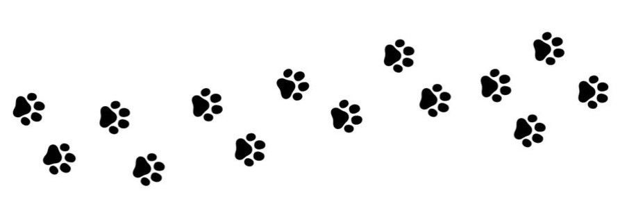 Keira 🪽 ᵎᵎ banner