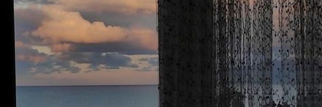 lenguine.🧜 banner