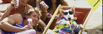 NotNickMurray's profile banner image