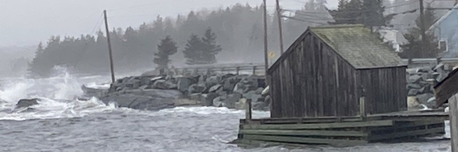 PenguinsPhantic's profile banner image