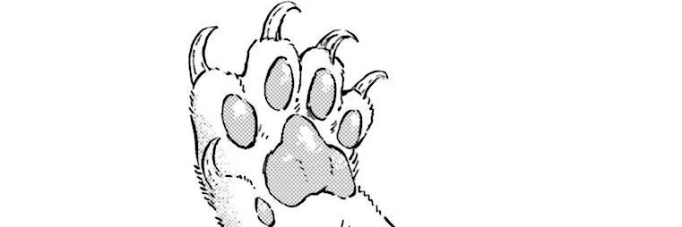 noenestavidx's profile banner image