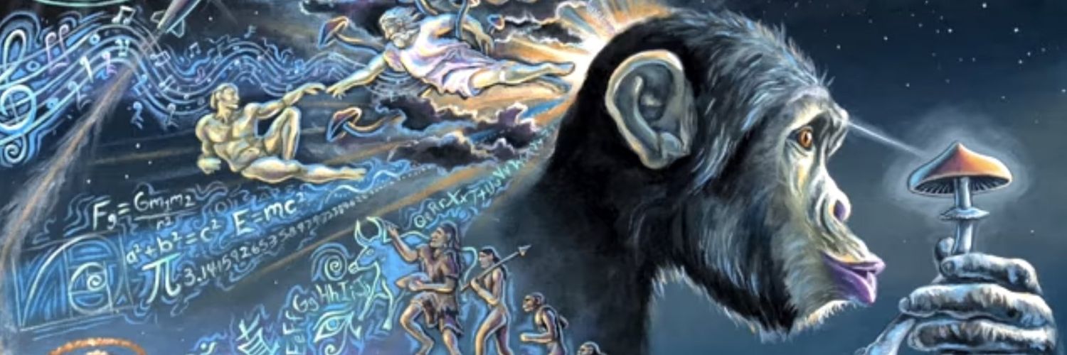 The Patternologist banner