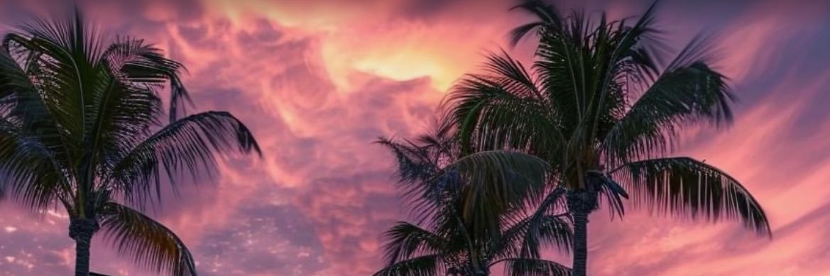 HummbleLzz's profile banner image