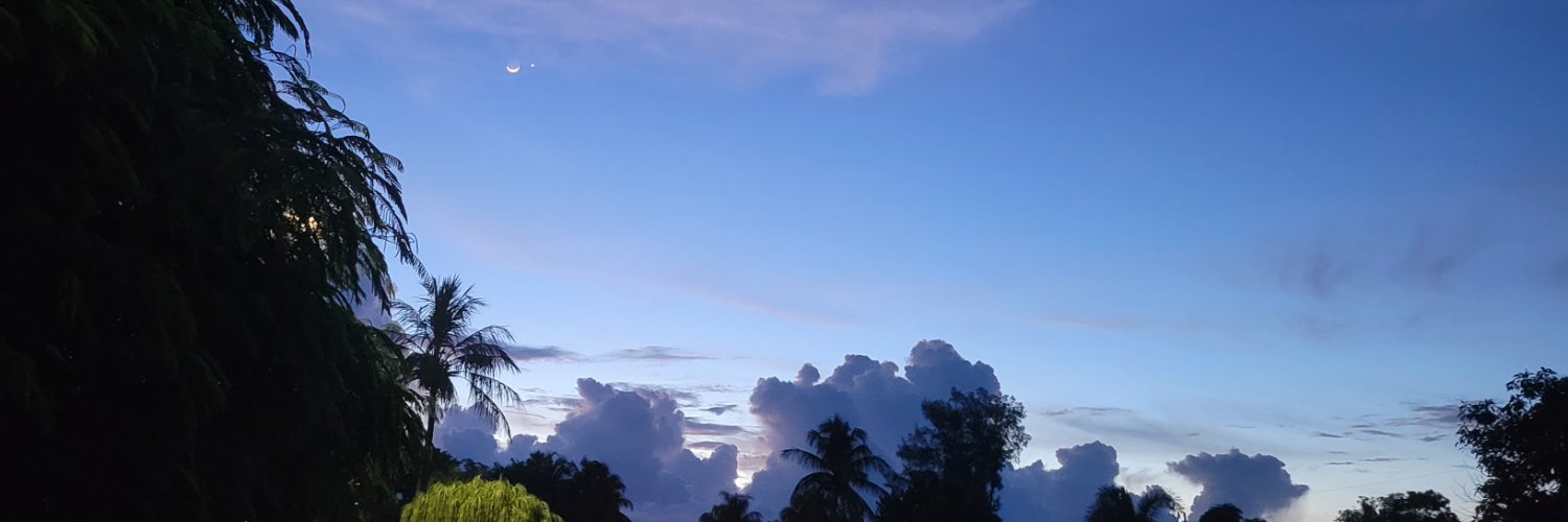 Caerynyvon's profile banner image