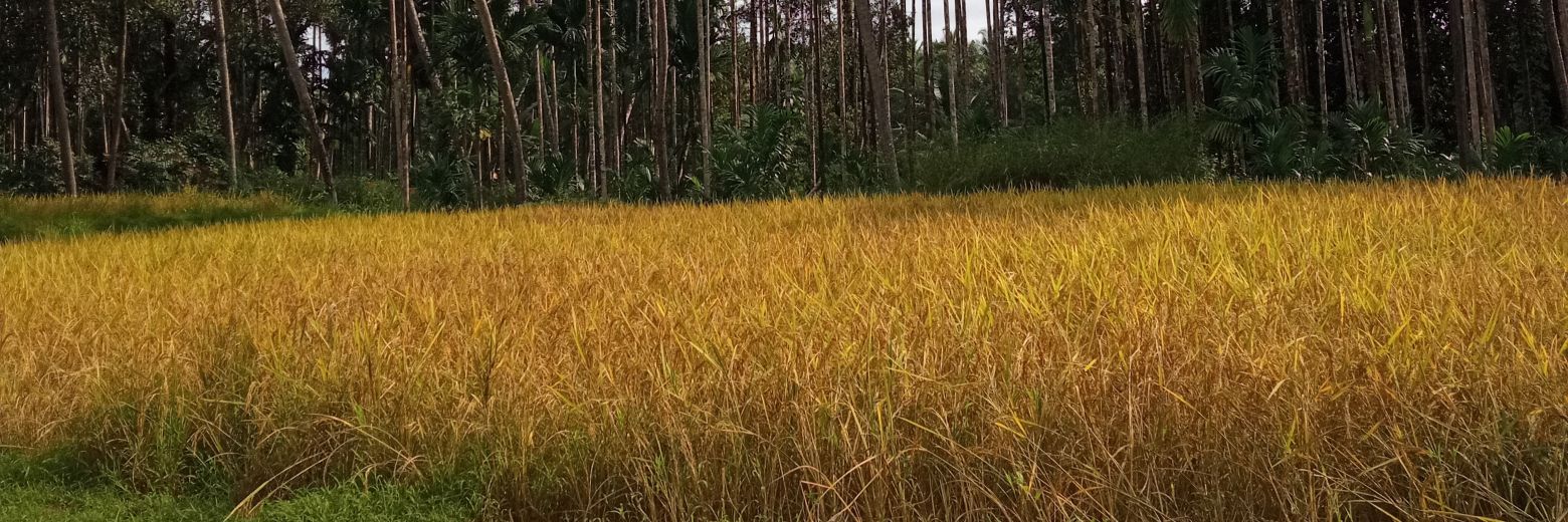 Pputhige's profile banner image