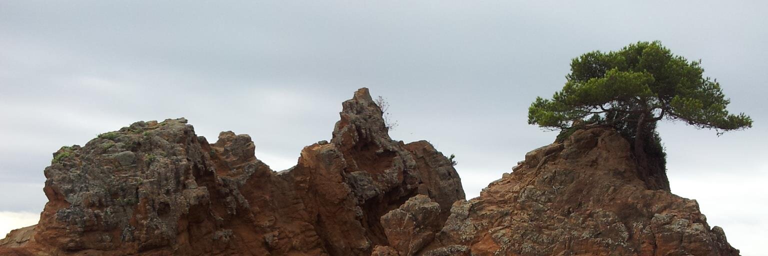 Spie1mann's profile banner image