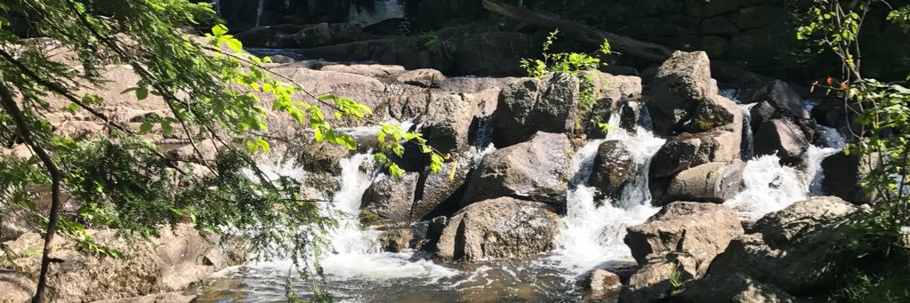 mackenziejj99's profile banner image