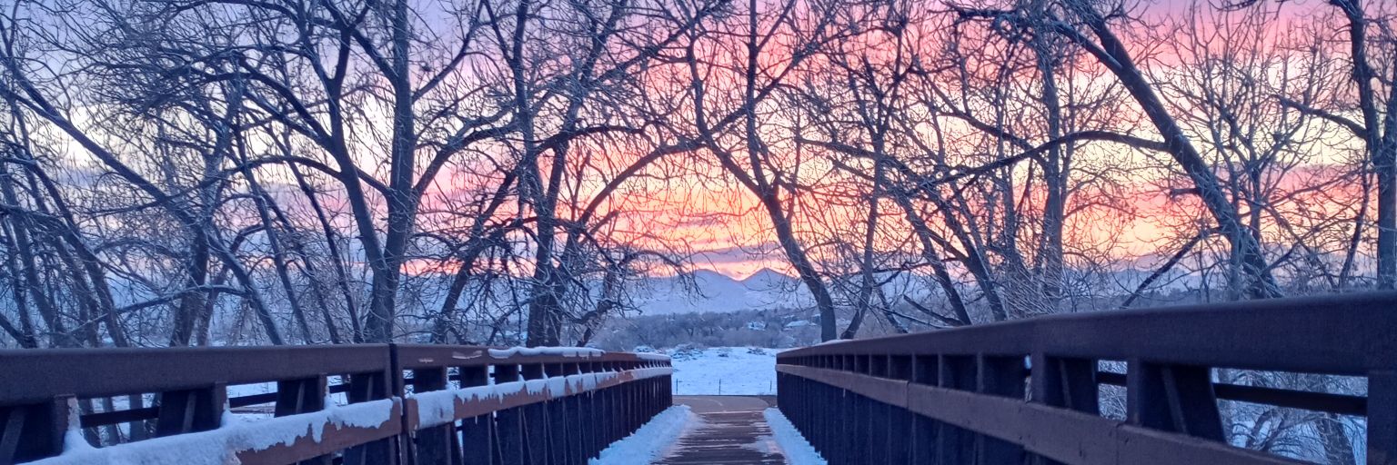 Barranquillero 🇨🇴🇺🇸🇮🇱 banner