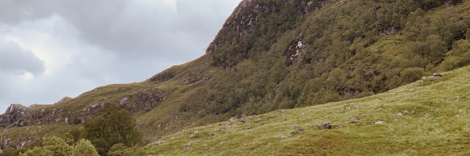 Matías Williams banner