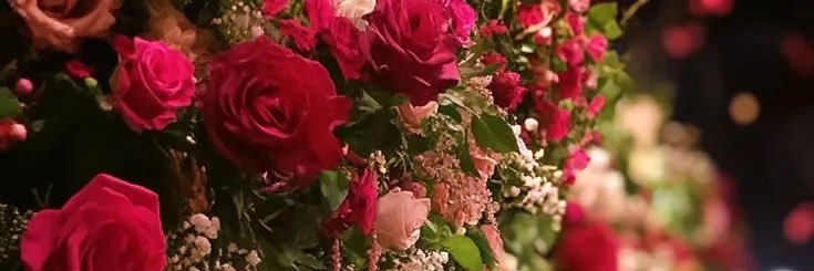 euladeiraa's profile banner image