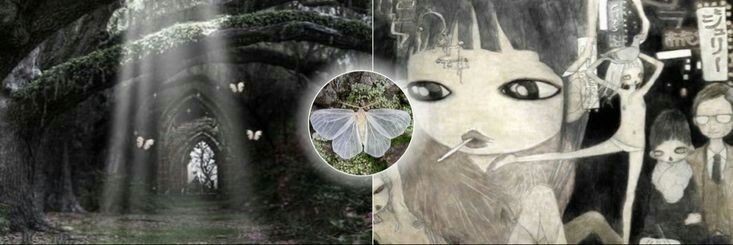 Evi ★'s banner