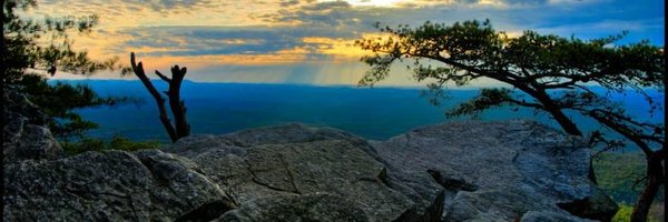 CodySavRad Profile Banner