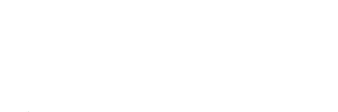 🎞️ banner